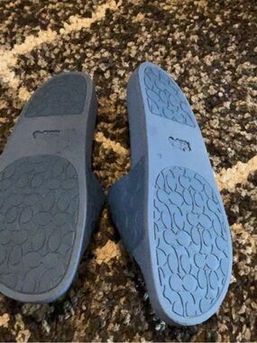 Coach Women's Blue Wedge Sandals